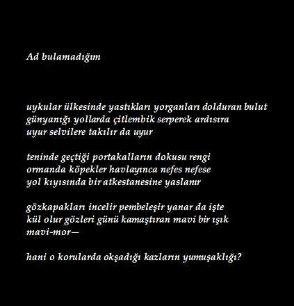 Ad Bulamadigim