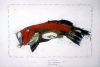 Red FIsh!