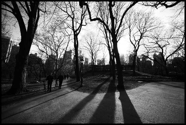 Shadowland